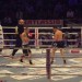 atodiresei-superkombat