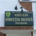 directia-silvica-300x240