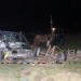 accident vaslui