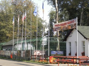 gradina zoologica radauti