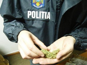 trafic-de-droguri-politia-300x225