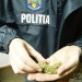 trafic-de-droguri-politia-300x225